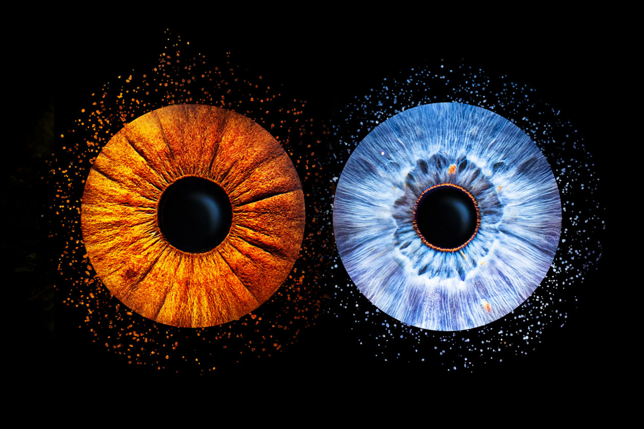 Bilder-deiner-Iris-Paarshooting-Fotograf-Geldern-professionelles-Fotostudio