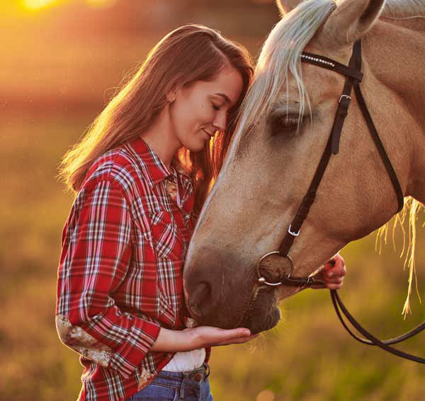 Bilder von deinem Pferd - Pferdefotos Portrait mit deinem Pferd Portrait Geldern professioneller Fotograf